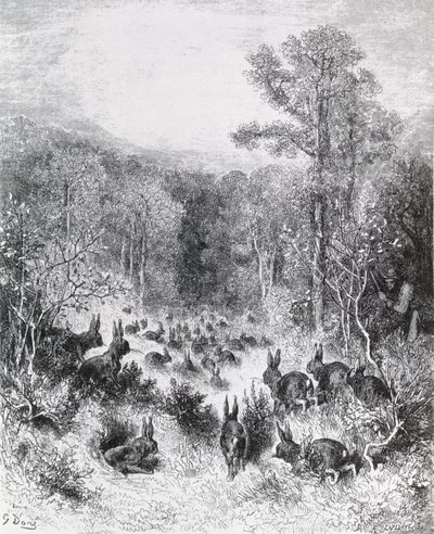 The Rabbits, Illustration from 